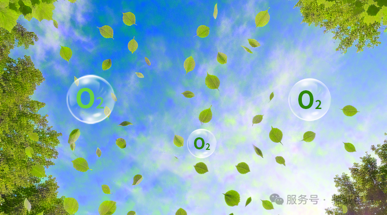 認識氣體的危害|氧氣濃度監(jiān)測與預(yù)防